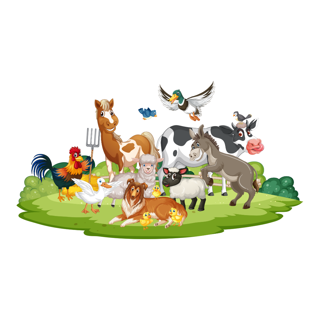 Farm Animals